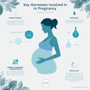 Managing hormonal changes during pregnancy